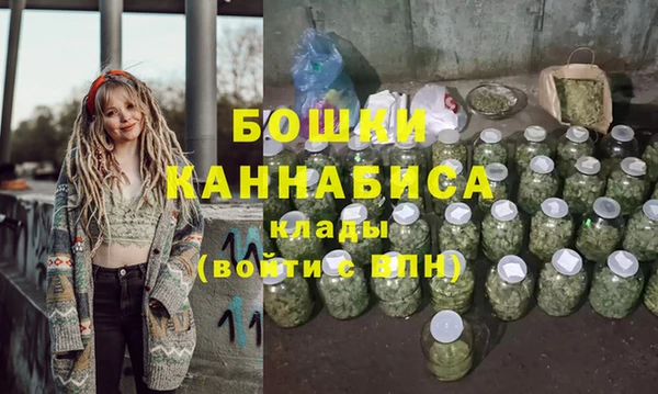 шишки Беломорск