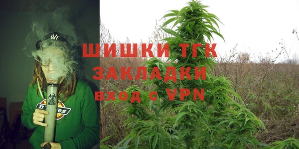 шишки Беломорск
