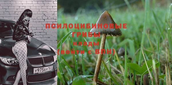 ECSTASY Белоозёрский