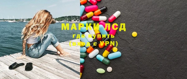 шишки Беломорск