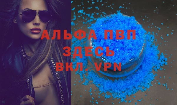 шишки Беломорск