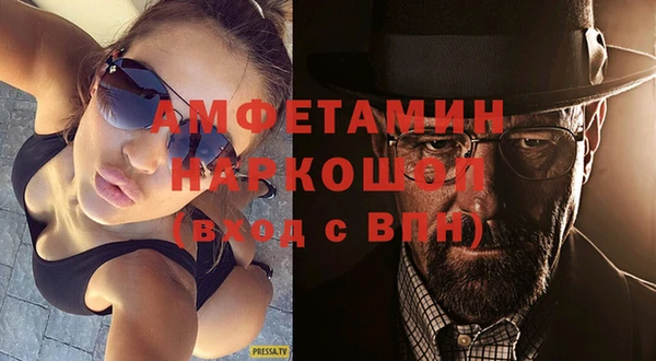 шишки Беломорск
