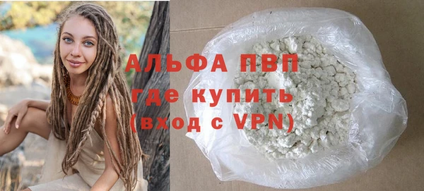 шишки Беломорск