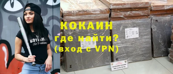 шишки Беломорск