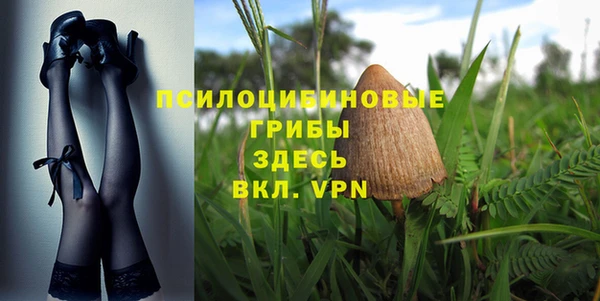 соль ск Белокуриха