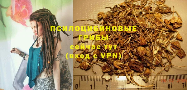 соль ск Белокуриха