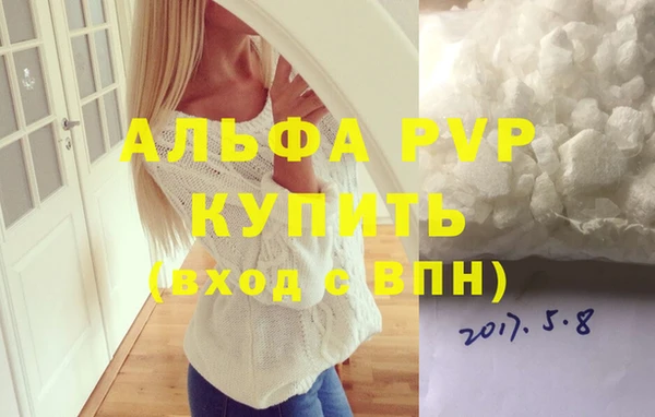 шишки Беломорск